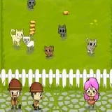 Cat Safari 2