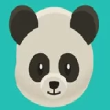 Code Panda