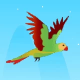 Flying Parrot