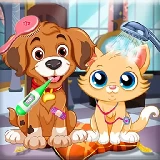 Puppy Pet Vet Care